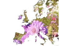Europe et DOM-TOM
