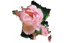 France m&eacute;tropolitaine