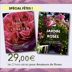 Holiday Special: 2 Roses...