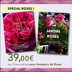 2 Roses specials