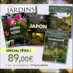 Spécial Fêtes : Abonnement...