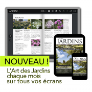 Numérique