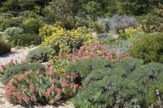 Conférences autour des jardins et paysages méditerranéens