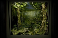 Jardin Infini
