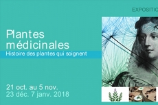 Programme des vacances à la Roche Jagu