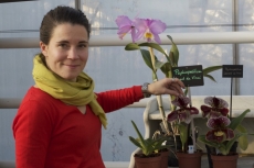 Une nouvelle orchidée 