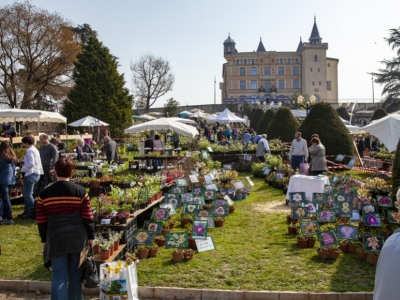 March Plant Festivals
