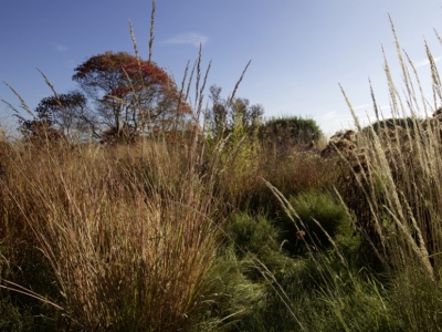 L'Art des Jardins n°63