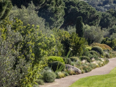 Jardins méditerranéens