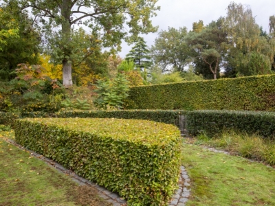 Exceptional Arboretum