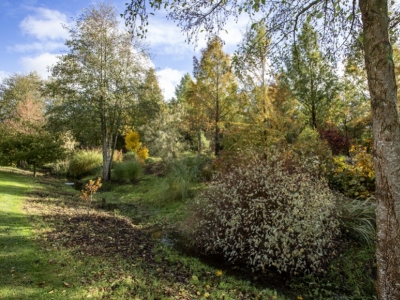 Arboretum d'exception