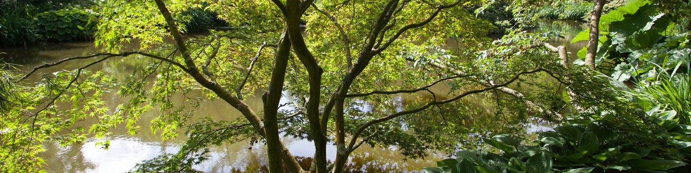 Abonnez-vous à L'Art des Jardins