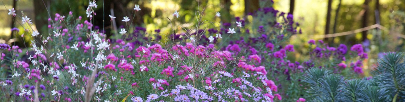 discover L'Art des Jardins in digital version