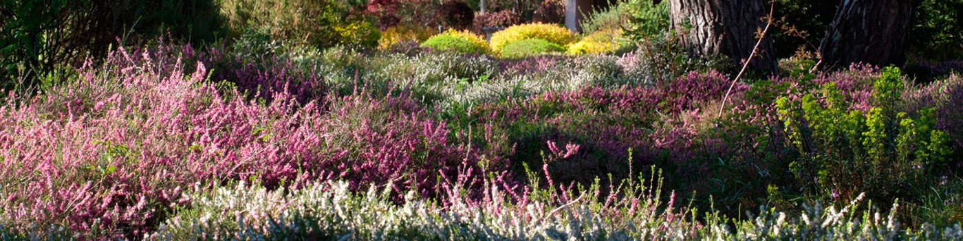 Abonnez-vous à L'Art des Jardins